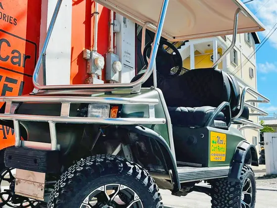 Rental golf cart parked by the water in San Pedro